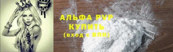 стаф Арсеньев