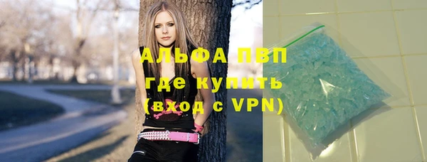 индика Аркадак