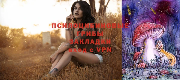 стаф Арсеньев