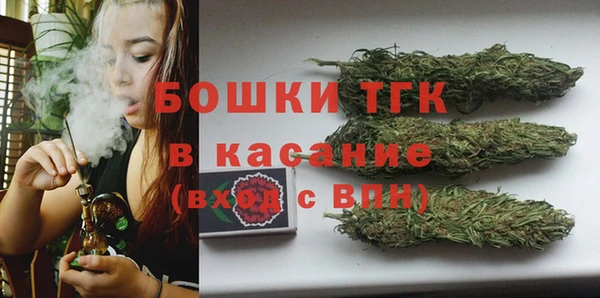 индика Аркадак