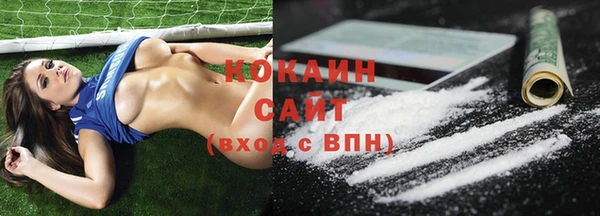 стаф Арсеньев