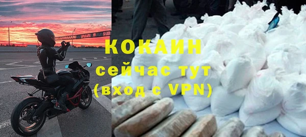 стаф Арсеньев