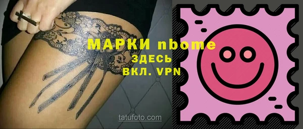 индика Аркадак